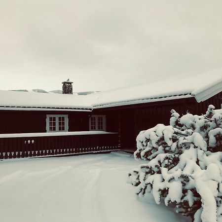 Vestlia Ski Geilo Exteriör bild
