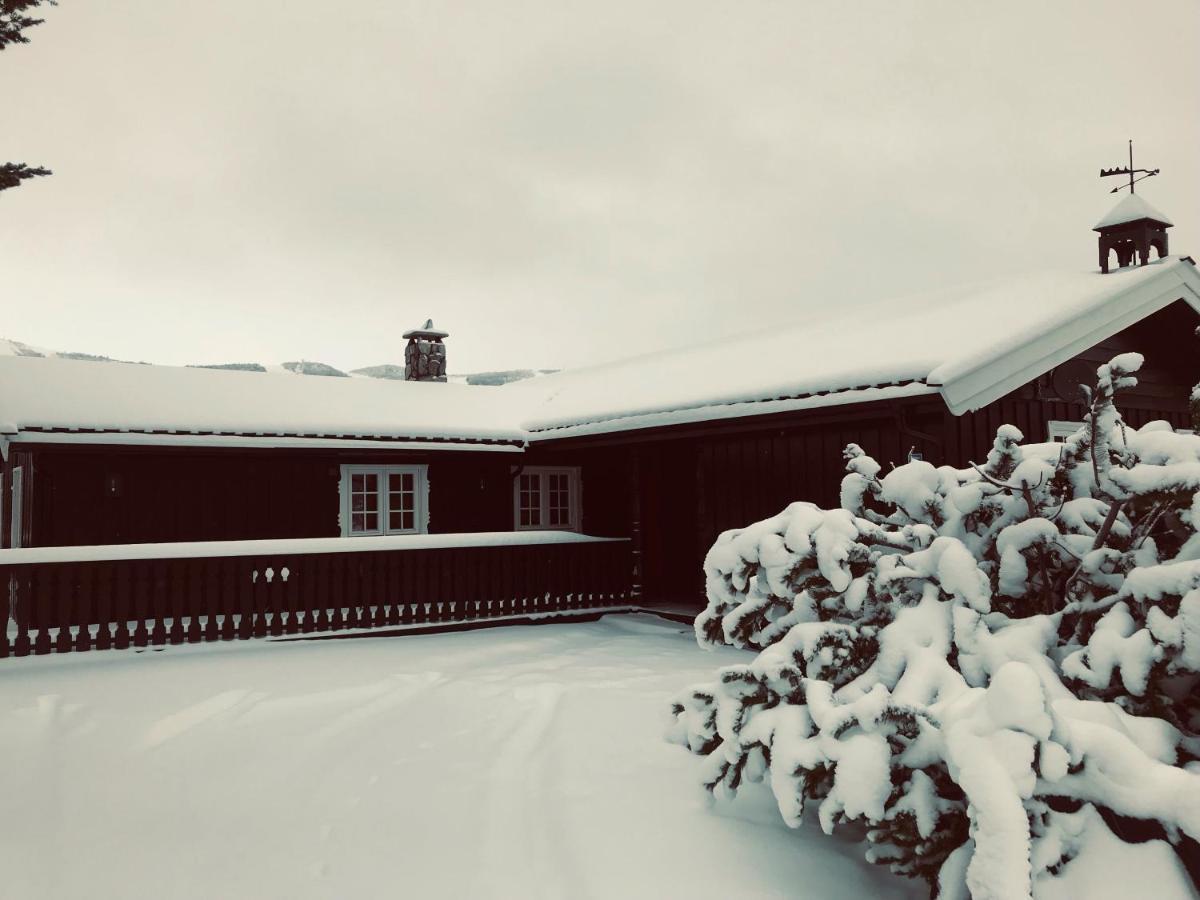 Vestlia Ski Geilo Exteriör bild